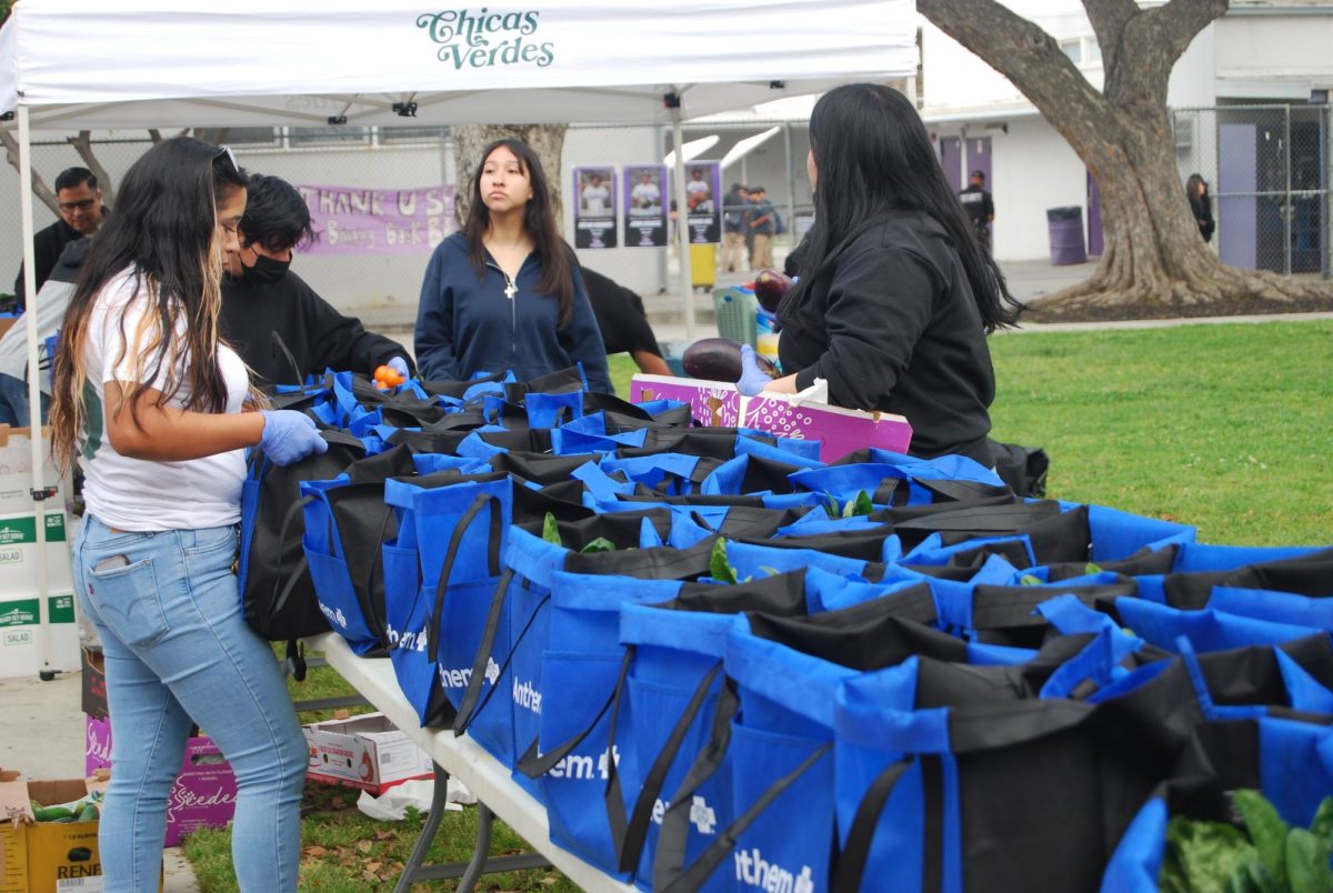 Chicas Verdes Promotes Healthy Eating at Manual Arts